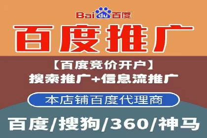 百度推广实战：案例分享与数据解读